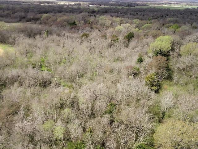 Land for sale in Limestone, Texas