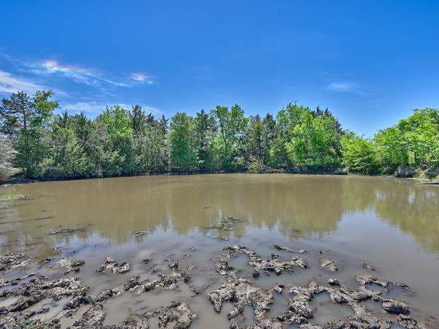 Land for sale in Limestone, Texas