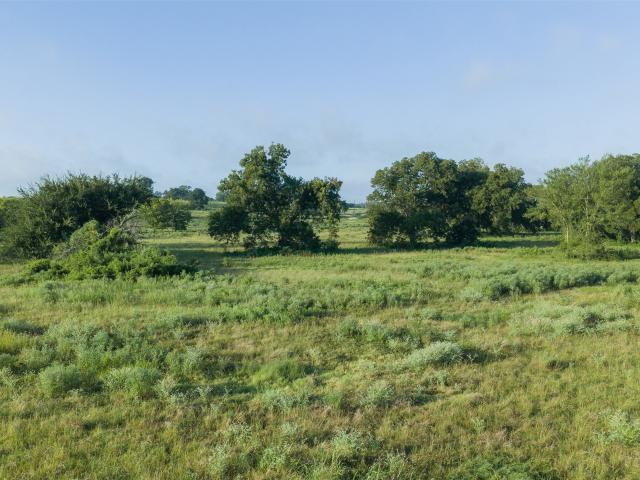 Land for sale in Limestone, Texas