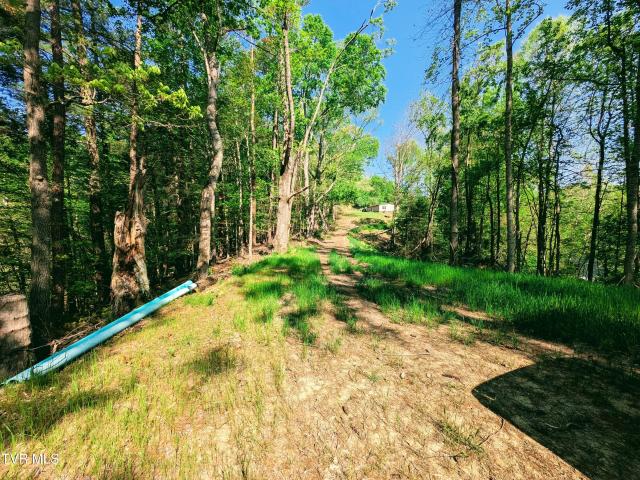 Land for sale in Virginia
