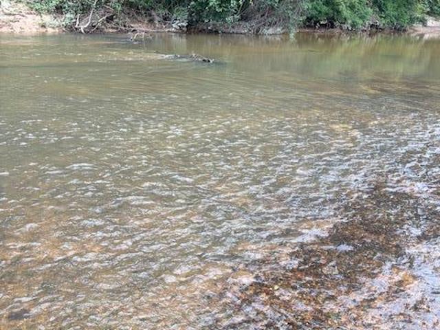 Land for sale in Tylertown, Mississippi