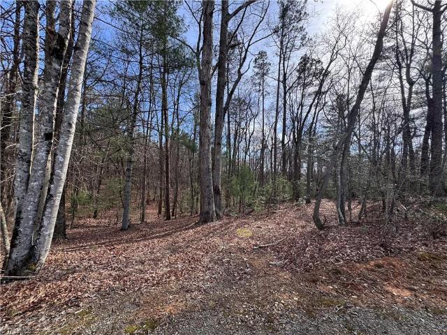 Land for sale in Elkin, North Carolina