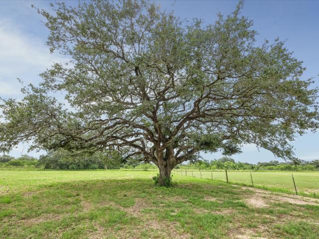 Land for sale in Glidden, Texas
