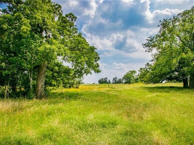 Land for sale in Somerville, Texas