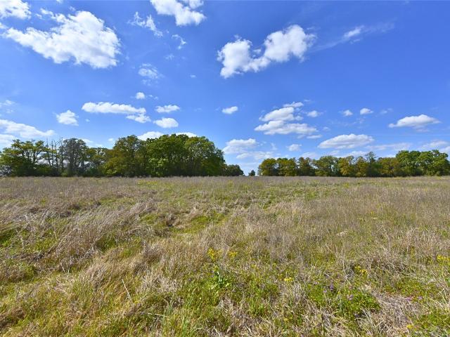 Land for sale in Caldwell, Texas