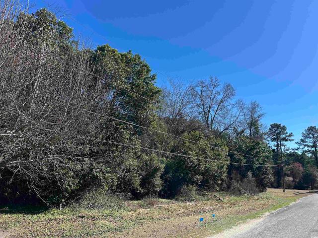 Land for sale in Riverdale, Dillon County