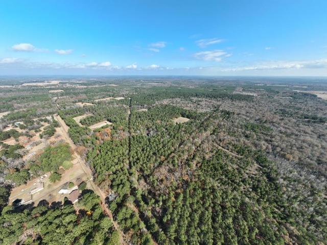 Land for sale in Harrison, Texas