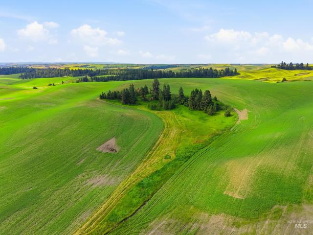 Land for sale in Moscow, Idaho