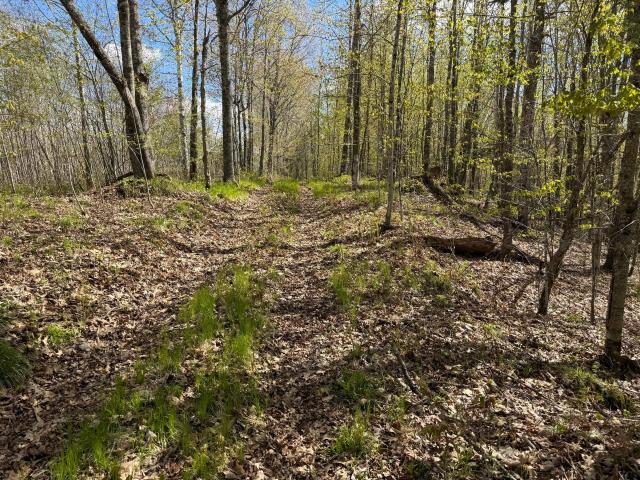 Land for sale in Wisconsin
