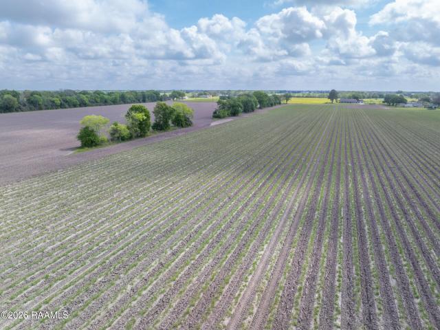 Property for sale in Maurice, Louisiana