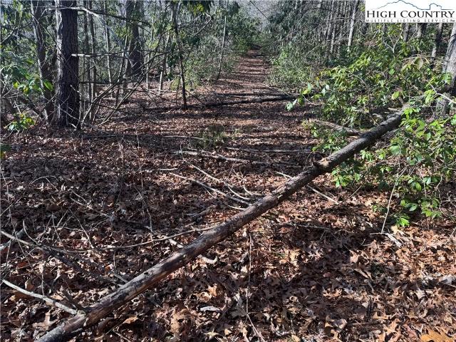 Land for sale in West Jefferson, North Carolina