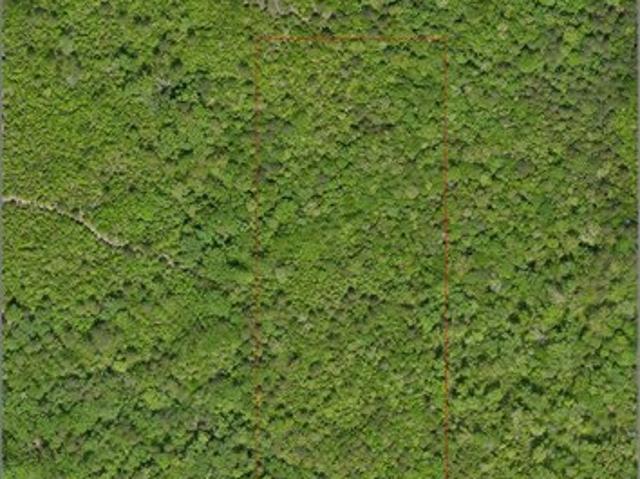 Land for sale in Marion, Texas