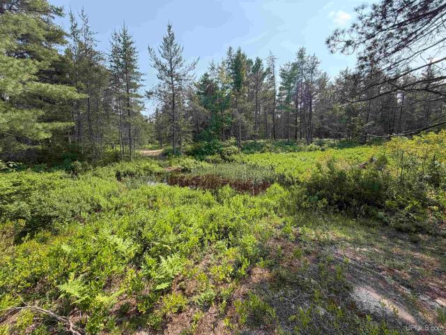 Land for sale in Au Train, Michigan