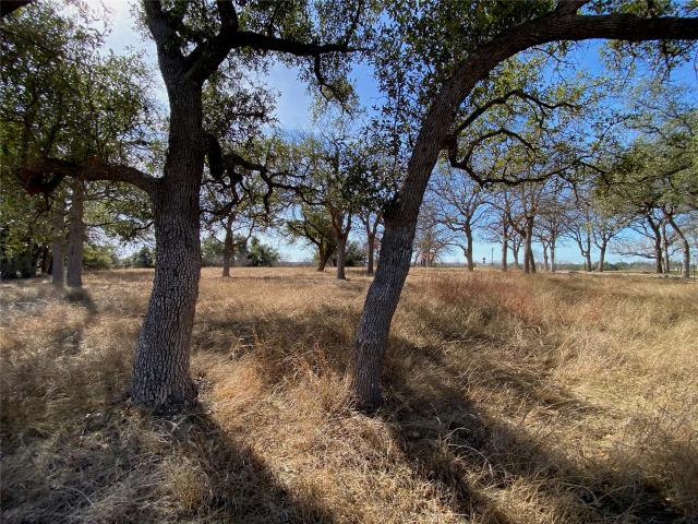 Land for sale in Williamson, Texas