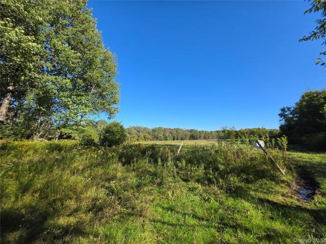 Land for sale in Parksville, Town of Liberty