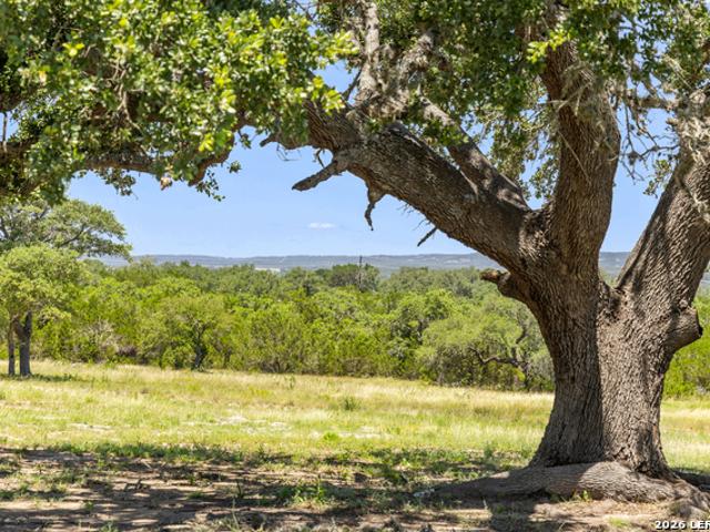 Farm for sale in Blanco, Texas