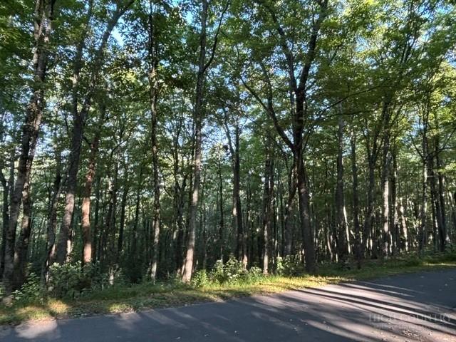Land for sale in Avery, North Carolina