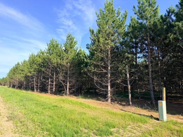 Land for sale in Wadena, Minnesota
