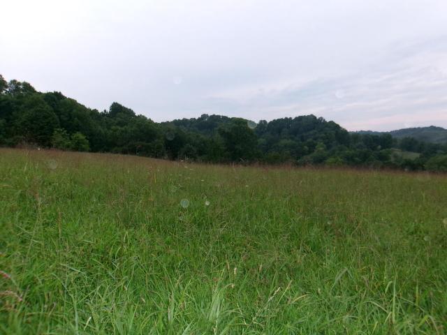 Land for sale in Virginia