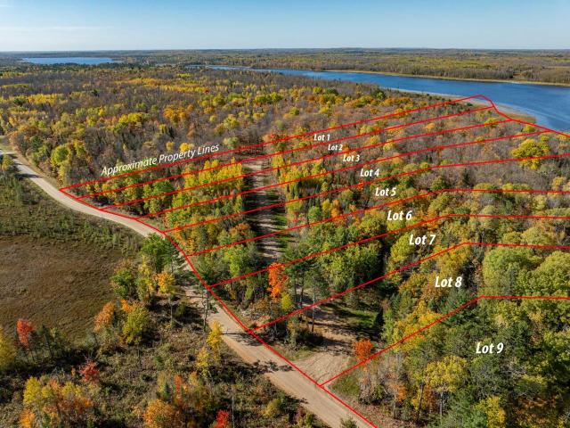 Land for sale in Remer, Cass County