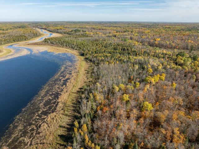 Land for sale in Remer, Cass County