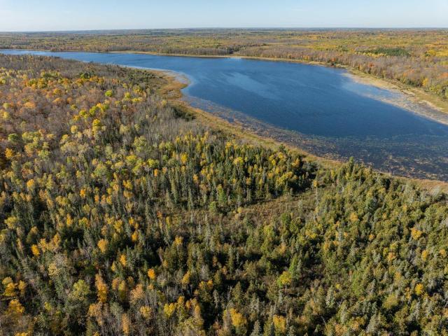 Land for sale in Remer, Cass County
