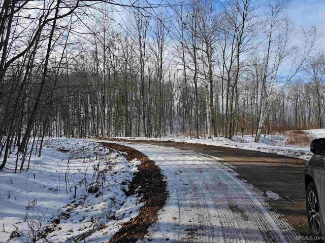 Land for sale in Michigan