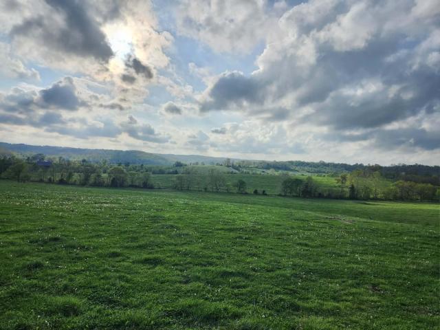 Farm for sale in Mountain Grove, Missouri