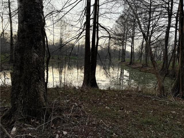 Land for sale in Marksville, Louisiana