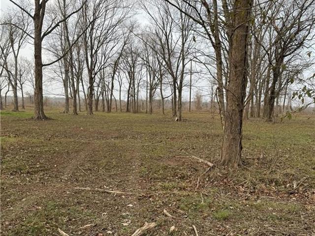 Land for sale in Marksville, Avoyelles Parish