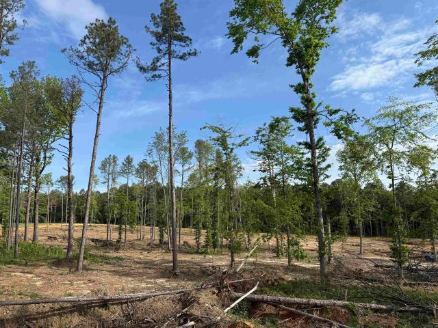 Land for sale in Ark