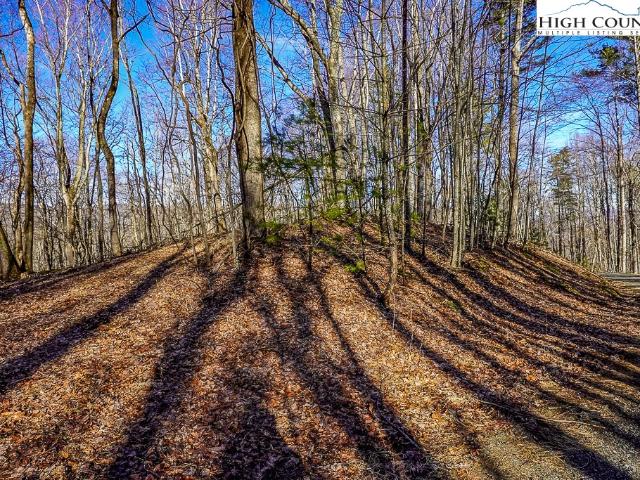 Land for sale in Watauga, North Carolina
