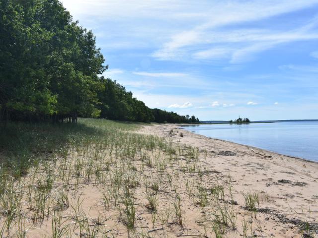 Land for sale in Nahma, Michigan