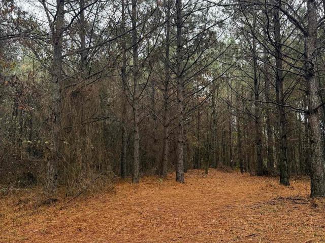 Land for sale in Ark