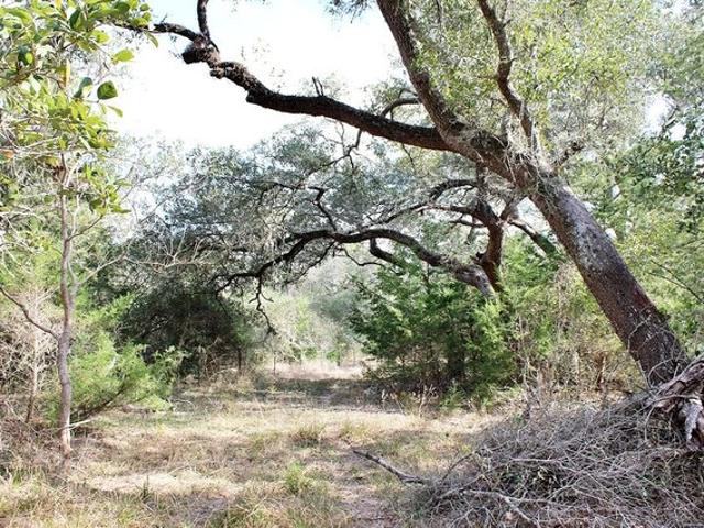 Farm for sale in Columbus, Colorado County