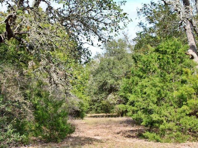 Land for sale in Columbus, Colorado County