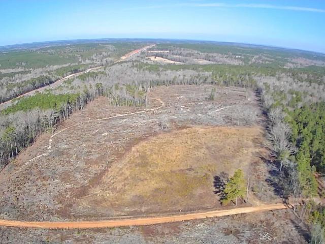 Land for sale in Saint Matthews, South Carolina