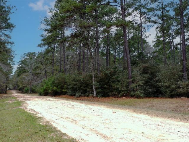 Land for sale in Grimes, Texas