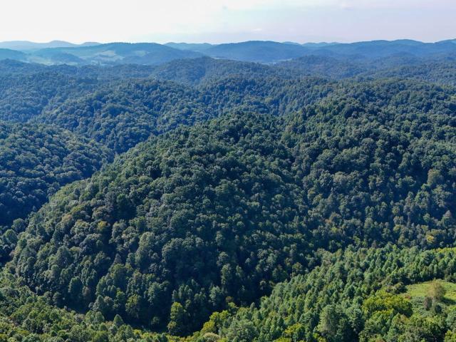 Land for sale in Virginia