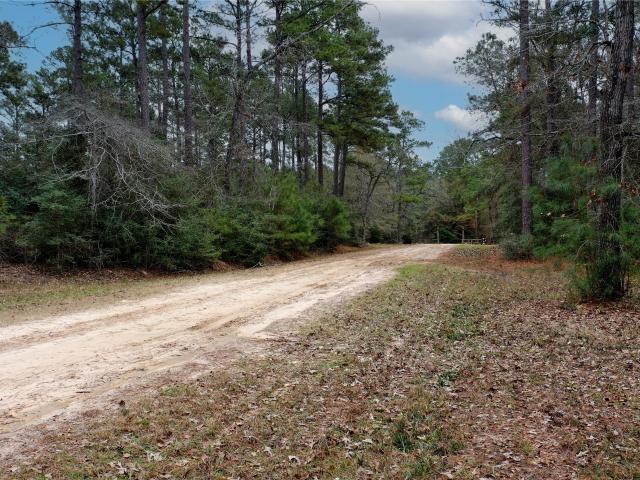 Land for sale in Grimes, Texas