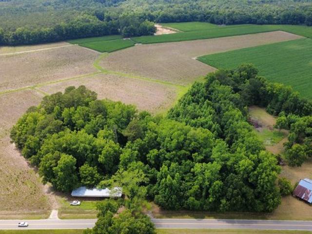 Land for sale in Green Sea, South Carolina