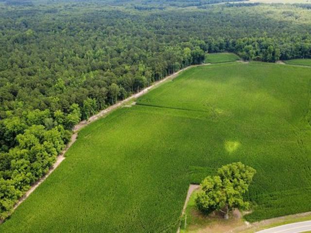 Land for sale in Green Sea, South Carolina