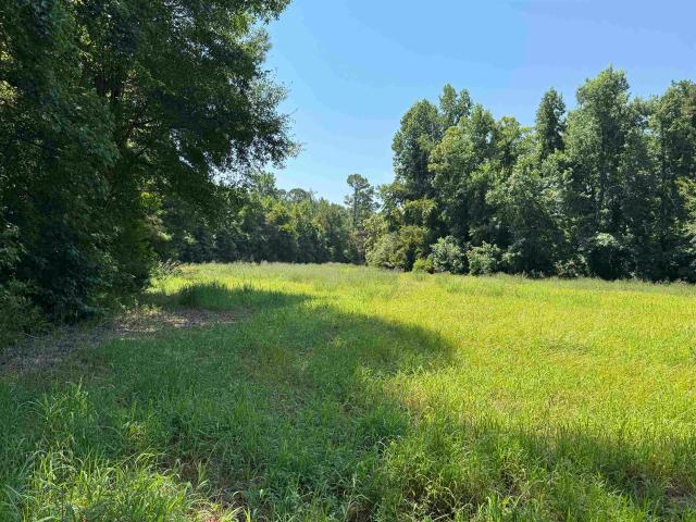 Land for sale in Nichols, Horry County