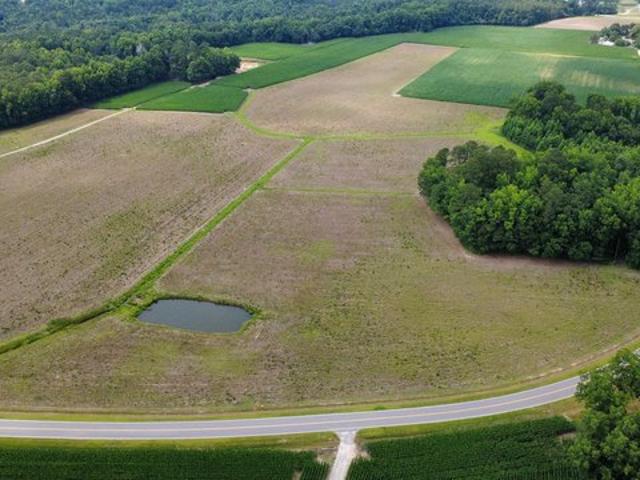 Land for sale in Green Sea, South Carolina