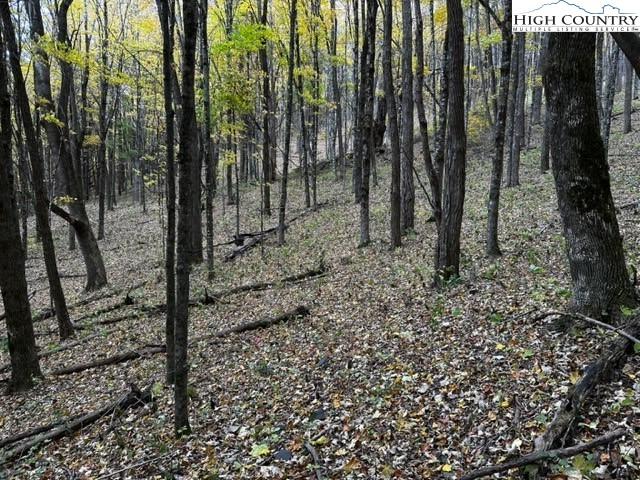 Land for sale in Watauga, North Carolina