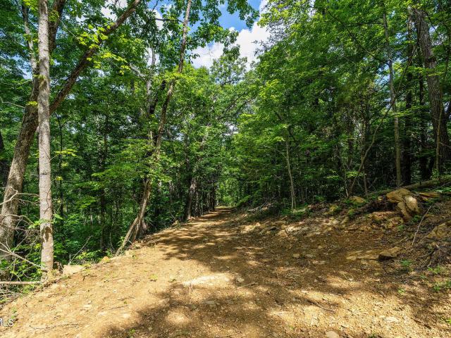 Land for sale in Tennessee