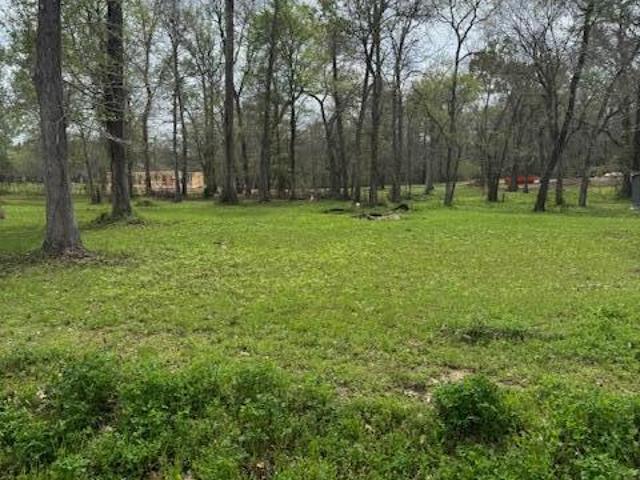 Land for sale in Opelousas, Louisiana