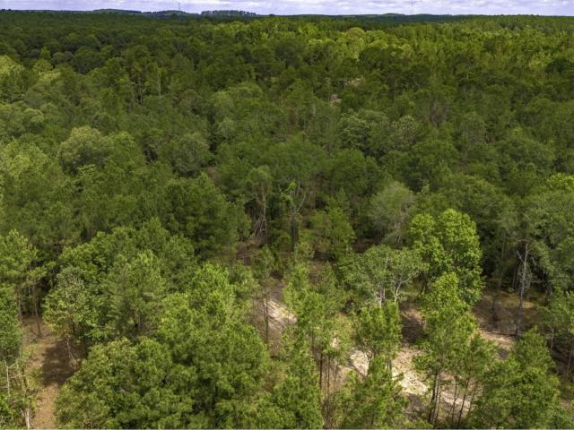 Land for sale in Polk County, Texas