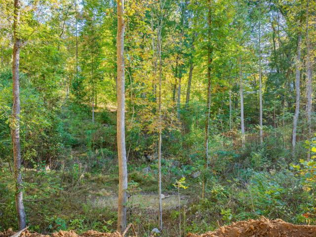 Land for sale in Elizabethton, East Tennessee