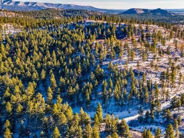 Land for sale in La Plata, Colorado